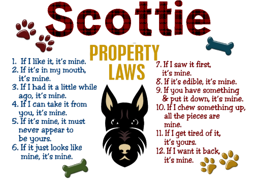 scottie_property_laws_500x500
